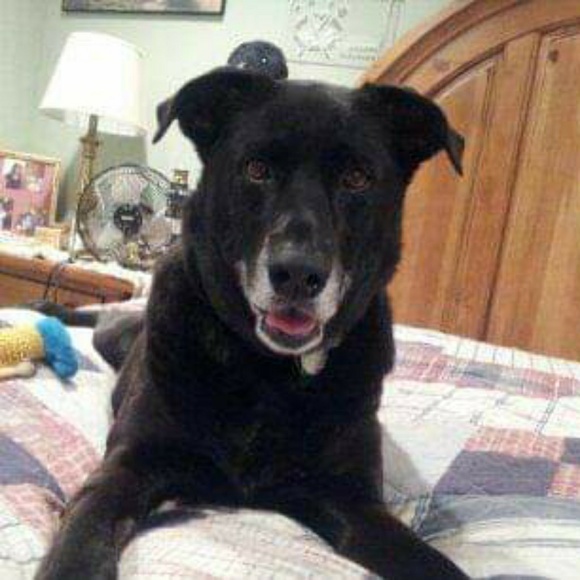 Meet your Posher, Michelle - Picture 1 of 1